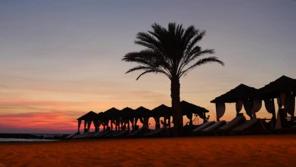 Schöne Lounge-Zone am zyprischen Strand mit Palmen und Zelten vor malerischem Sonnenuntergang. — Stockvideo