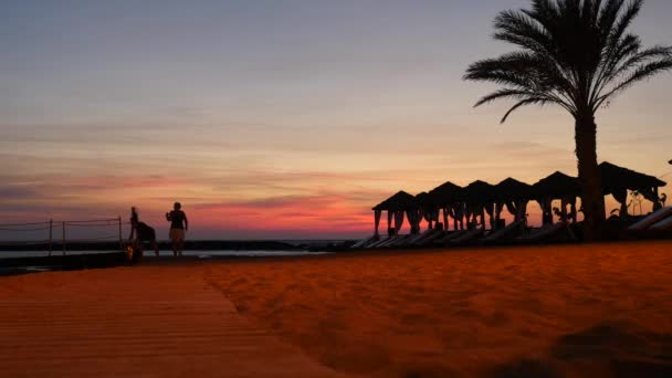 Two women walk along lounge zone on the cyprus beach with palm trees and tents at picturesque sunset landscape — Stock Video