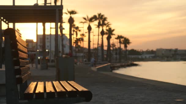 Amanecer en el paseo marítimo de una pequeña ciudad en una isla en el Mediterráneo. Transporte público urbano que recorre la calle con palmeras creciendo cerca del mar . — Vídeo de stock