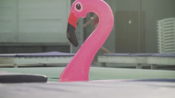 Flamingo rosa de goma inflable flotando en una piscina en el fondo de una hermosa chica que pasa en un traje de baño con un cóctel en sus manos . — Vídeo de stock