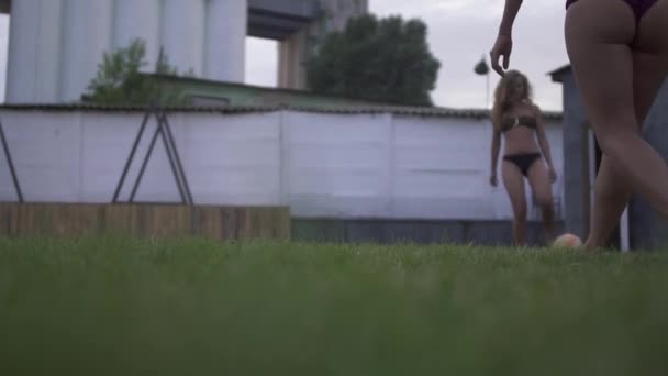 Dwie dziewczyny w bikini są kopnął piłkę na zielony trawnik. Pozostałe dwa sexy dziewczyny w strojach kąpielowych. — Wideo stockowe