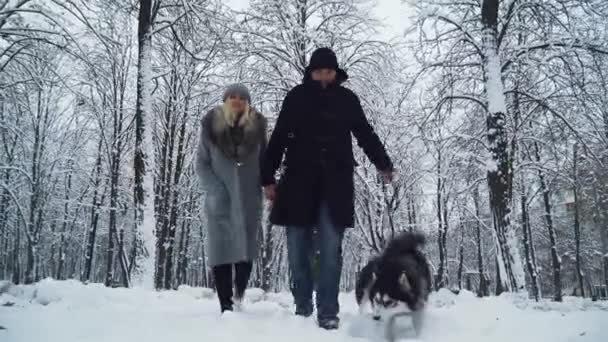 Graziosa coppia sorridente che cammina insieme a due bellissimi husky soffici siberiani nella foresta innevata invernale — Video Stock