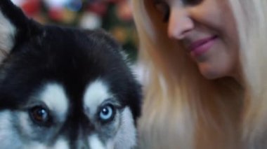 Onun husky ile flört bir kız portresi. Kız ve köpek birlikte.