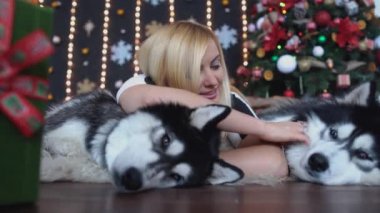 Arka plan Christmas ağacının katta yatan ve iki yanında güzel bir husky yalan okşayarak güzel kadın. Köpekler ve onların sahip.