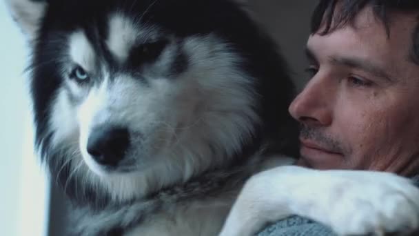 Retrato de un hombre oloroso sosteniendo a Husky en las manos mirando por la ventana, pensando en sus pensamientos y soñando — Vídeo de stock