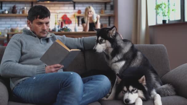Um homem acariciando um husky sentado em um sofá e lendo um livro. Mulher bebendo café de pé na cozinha no fundo do marido e o husky tendo um descanso na cama . — Vídeo de Stock