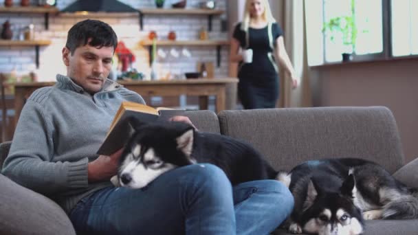 Żona wniosła kawę do męża, który siedział na kanapie. Dwa Psy eskimoskie są Śpiąca na łóżku obok właściciela. — Wideo stockowe