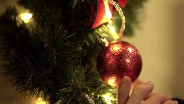 La mano femenina toca el juguete rojo de Navidad colgado en el árbol de cerca — Vídeos de Stock