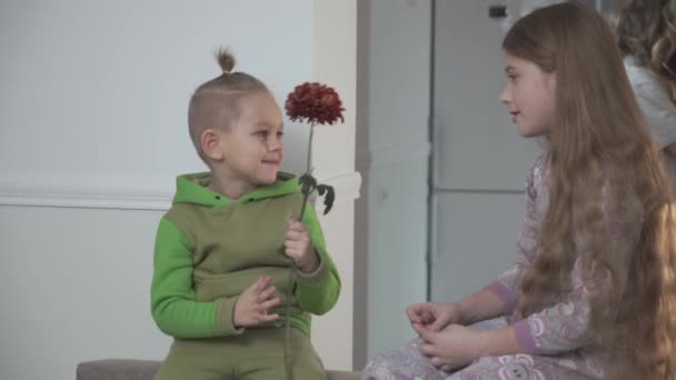 El niño en pijama verde le da flores a su hermana. Relación familiar — Vídeo de stock