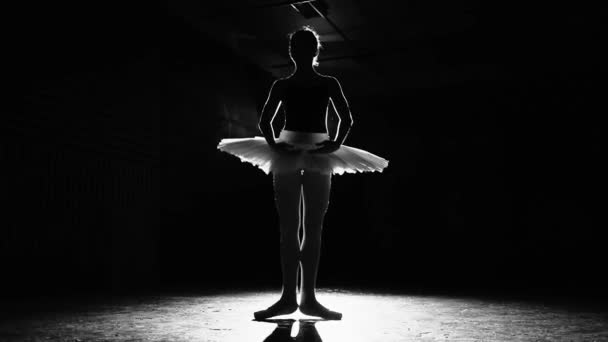 年轻苗条美丽的芭蕾舞演员练习芭蕾在点 — 图库视频影像