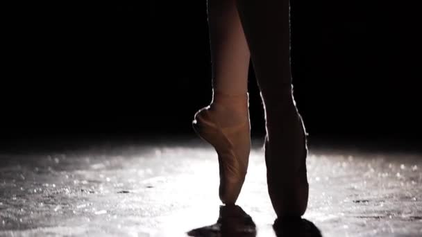 シルエット スタジオで黒の背景にスポット ライトの彼女バレエ トウシューズのバレリーナの立っている立っています。バレリーナでは、チュチュと pointe の靴を身に着けているクラシック バレエのパを示しています。スローモーション. — ストック動画