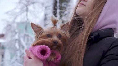 Portre güzel yün kazak holding köpek kış karla kaplı bir parkta ellerinde bir yorkshire terrier sarılma uzun saçlı Genç kız giymiş. Genç ve açık havada bir yolda bir köpek. Ağır çekim.