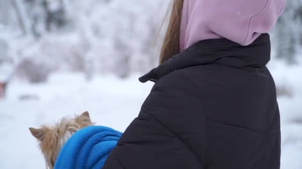 年轻女孩带着约克郡的猎狗走在一个冬天被雪覆盖的公园里, 抱着一只包裹在蓝色毯子里的狗。一个少年和一只狗在户外散步。慢动作. — 图库视频影像