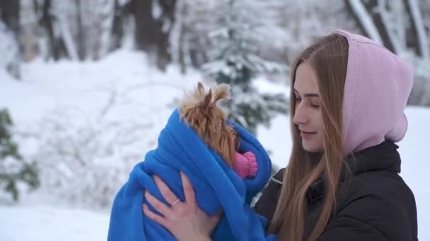 在一个被白雪覆盖的公园里, 肖像年轻女孩拿着一只约克郡的猎狗, 用蓝色毯子包裹着。一个少年和一只狗在户外散步。慢动作. — 图库视频影像