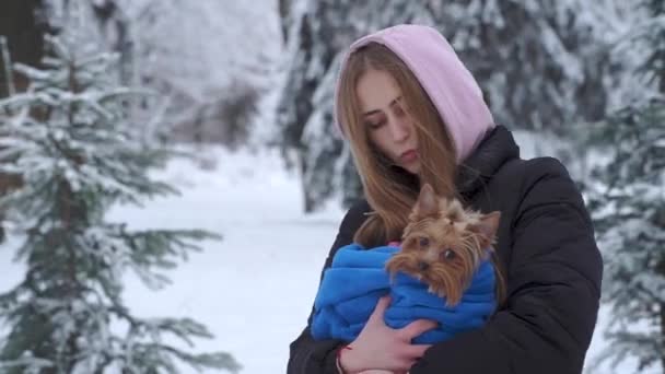 Retrato niña bonita sosteniendo un terrier yorkshire envuelto en una manta azul en las manos en un parque cubierto de nieve de invierno. Un adolescente y un perro paseando al aire libre. Movimiento lento . — Vídeos de Stock