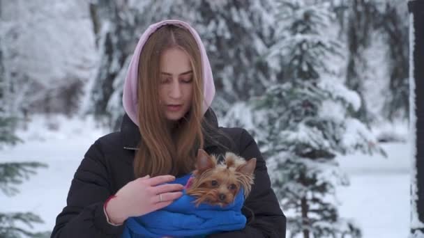 Retrato menina bonita com cabelos longos coberto com um capuz segurando um terrier yorkshire envolto em um cobertor azul em mãos em um parque coberto de neve de inverno. Um adolescente e um cachorro em um passeio ao ar livre . — Vídeo de Stock