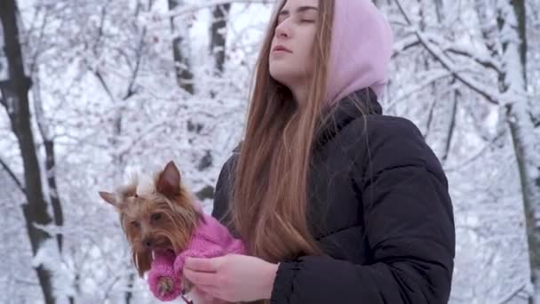 Menina bonita com cabelos longos segurando um terrier yorkshire vestido com suéter de lã em mãos em um parque coberto de neve de inverno. Adolescente e um cachorro em uma caminhada ao ar livre. Movimento lento . — Vídeo de Stock