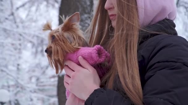 Porträtt tonåring flicka med långt hår täckta med en huva som kramar en yorkshire terrier klädd i ylletröja hålla hunden på händer i en snötäckt Vinterparken. Tonåring och en hund på en promenad utomhus. — Stockvideo
