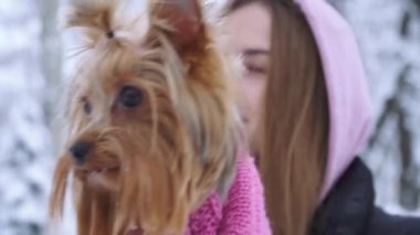 A yorkshire korkunç kış karla kaplı bir parkta sahibi ile yürüme yün kazak giymiş portre kapatın. Genç ve açık havada birlikte bir köpek. Ağır çekim.