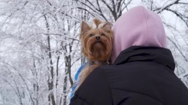 Kadın standları kafa ile kamera arkası ellerinde bir battaniyeye sarılmış hood holding küçük yorkshire terrier kaplı. Genç ve karla kaplı bir kış parkta yürümek üstünde a köpek. Ağır çekim.