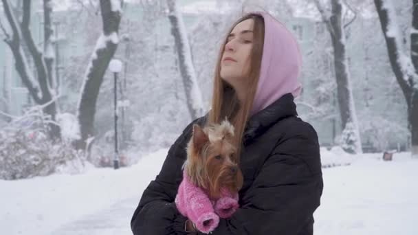 Πορτρέτο χαριτωμένος έφηβος κορίτσι με μακριά μαλλιά που αγκαλιάζει ένα τεριέ του Γιορκσάιρ ντυμένος με μαλλί πουλόβερ σκυλί εκμετάλλευσης σχετικά με τα χέρια σε ένα χειμώνα χιονισμένο πάρκο. Έφηβος και ένας σκύλος σε μια βόλτα σε εξωτερικούς χώρους. Χιονίζει. — Αρχείο Βίντεο