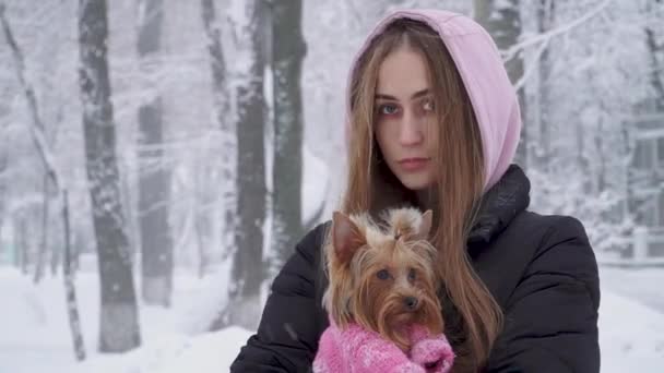 Portrét smilling roztomilá dívka s dlouhými vlasy objímání Jorkšírský teriér oblečený v vlny svetr držení psa na ruce v zimě sněhem pokrytých parku. Teenager a psa na procházku venku. Sněží. — Stock video