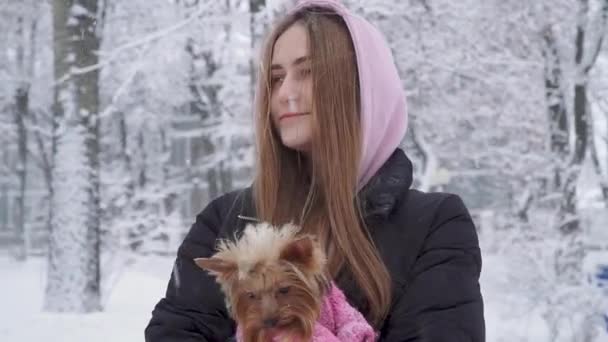 Портрет усміхненої милої дівчини з довгим волоссям, що обіймає йоркширський тер'єр, одягнений у вовняний светр, тримає собаку на руках в зимовому засніженому парку. Підліток і собака на прогулянці на відкритому повітрі. Сніг . — стокове відео