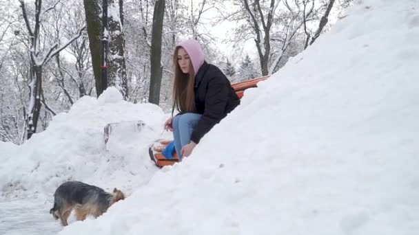 Gadis muda merokok di bangku cadangan di musim dingin tertutup salju taman. Yorkshire terrier berjalan di dekat pemilik kaki. Remaja dan anjing beristirahat di luar rumah bersama-sama. Gerakan lambat . — Stok Video