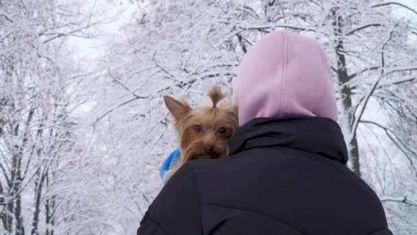 Mujer de pie con la espalda a la cámara con la cabeza cubierta de una capucha que sostiene pequeño yorkshire terrier envuelto en una manta azul en las manos. Un adolescente y un perro paseando al aire libre. Movimiento lento . — Vídeo de stock