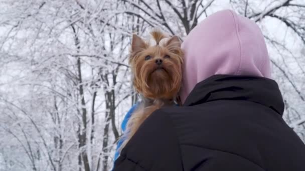 Vrouw staat met haar rug naar de camera met hoofd bedekt een kap bedrijf klein yorkshire Terriër gewikkeld in een deken op handen. Tiener en een hond op een wandeling in een winter met sneeuw bedekte park. Slow motion. — Stockvideo