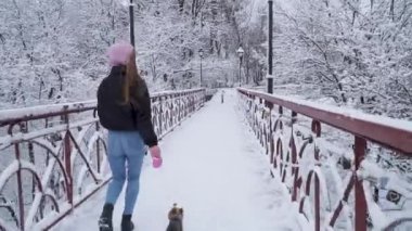 Küçük yorkie köprüde sahibi ile üstünde kira kontratı yürümek. Yorkshire korkunç kış karla kaplı bir parkta kızla çalıştıran. Ağır çekim.