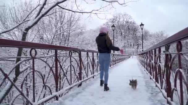 Wanita berjalan di jembatan dengan anjing kecil. Anjing laut yorkshire kecil dengan tali berjalan di dekat pemilik di musim dingin tertutup salju taman. Gerakan lambat . — Stok Video