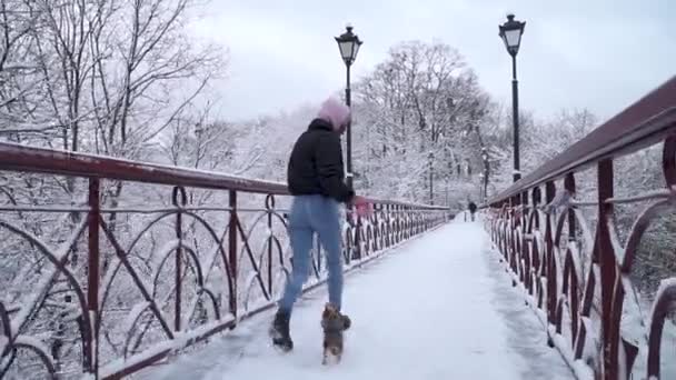 Yorkie walk on leash with owner on the bridge. Small yorkshire terrier running with girl in a winter snow-covered park. Slow motion. — Stock Video