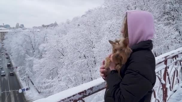 Retrato niña bonita sosteniendo un terrier yorkshire de pie en el puente sobre un fondo de árboles cubiertos de nieve en un parque de invierno. Un adolescente y un perro paseando al aire libre. Movimiento lento . — Vídeos de Stock