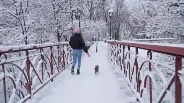 Αστεία yorkie περπατηθεί στο λουρί με ιδιοκτήτη στη γέφυρα. Τρέχει με το κορίτσι σε ένα χειμώνα χιονισμένο πάρκο μικρών τεριέ του Γιορκσάιρ. Αργή κίνηση. — Αρχείο Βίντεο