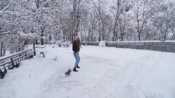 Yorkie camina con correa con el dueño al aire libre. Pequeño yorkshire terrier corriendo con una chica en un parque cubierto de nieve de invierno. Movimiento lento . — Vídeos de Stock