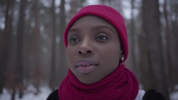 Портрет африканской девушки в красной шляпе и красном шарфе, стоящем в зимнем лесу и смотрящем в камеру вблизи. Реальные люди . — стоковое видео