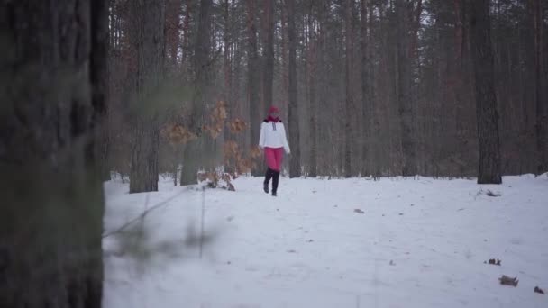 Menina afro-americana vestida quente usando um chapéu vermelho, cachecol e casaco branco andando na floresta de inverno. Conceito de recreação ao ar livre — Vídeo de Stock