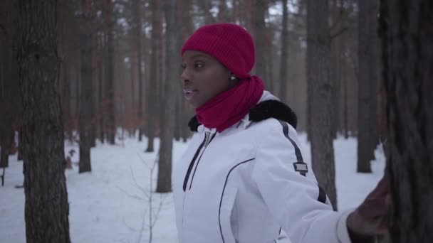 Afrikanisch-amerikanisches Mädchen, das im Winterwald steht und Seite an Seite mit ihrer Hand auf den Baum blickt. schönes Mädchen, das Zeit im Freien verbringt. Zeitlupenschießen — Stockvideo