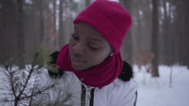 Αφρικανική αμερικανική κορίτσι αγγίζει ένα κλαδί πεύκου μέσα στο δάσος του χειμώνα. Νεαρή γυναίκα ντυμένη ζεστά φορώντας ένα κόκκινο καπέλο, κασκόλ και λευκό σακάκι περπάτημα σε εξωτερικούς χώρους. — Αρχείο Βίντεο