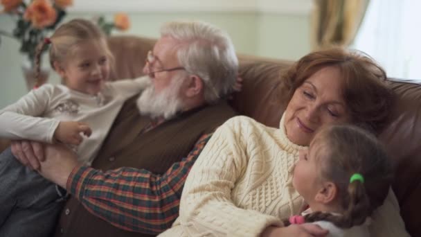 Feliz abuelo barbudo y dulce abuela abrazando y hablando con sus pequeñas nietas divertidas — Vídeo de stock