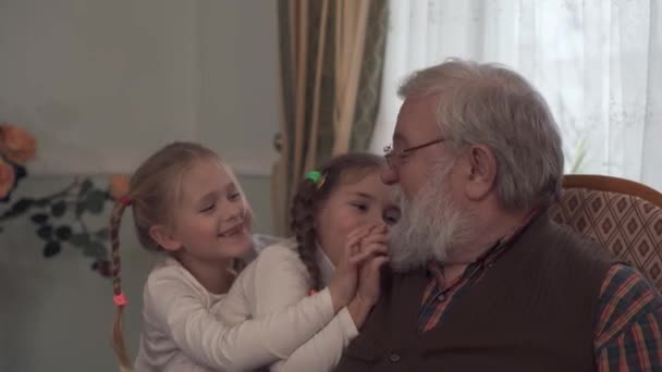 Dos chicas lindas jugando con su abuelo sentado en la silla. Las nietas tiran de la barba de un hombre mayor de aspecto amable. Niños divirtiéndose en casa de abuelos — Vídeo de stock