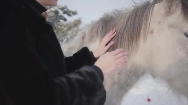 Χαριτωμένο νεαρό ευτυχισμένο κορίτσι εγκεφαλικά επεισόδια ένα όμορφο λευκό άλογο σε ένα ράντσο της χώρας. Άλογα με τα πόδια σε εξωτερικούς χώρους το χειμώνα. — Αρχείο Βίντεο