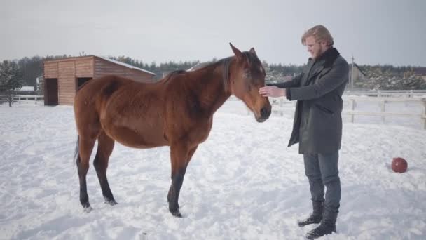 Homem de barba alta acaricia o cavalo puro-sangue marrom adorável que está perto do animal na fazenda de inverno. Conceito de criação de cavalos. Câmera se aproxima — Vídeo de Stock