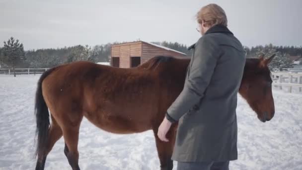 国の牧場で馬をなでるコートを着て眼鏡でうれしそうなひげを生やした男。冬に外を歩けば馬. — ストック動画