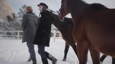 Sarışın kadın ve uzun boylu kar kış Ranch'te önde gelen iki kahverengi at dostum. Bir inatçı hayvan durdu ve daha fazla gitmek istiyor, ama kız yürüyüş yapar. Mutlu çift harcamak zaman açık havada Çiftliği'nde
