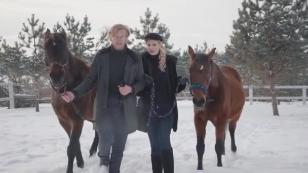 Pareja joven liderando dos caballos marrones hablando en el rancho de invierno de nieve. Feliz pareja positiva pasar tiempo al aire libre en la granja. Concepto de cría de caballos — Vídeo de stock