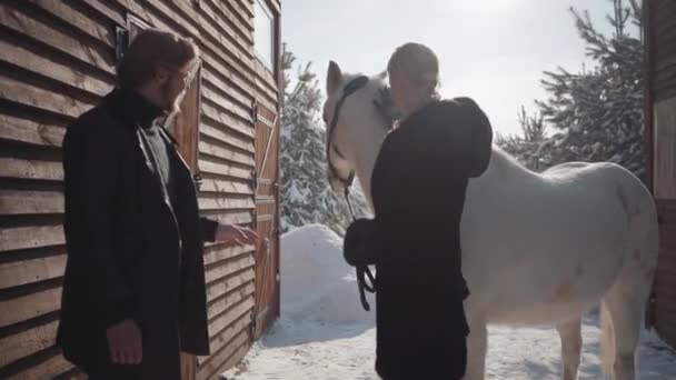 Blonde Frau und großer Mann stehen mit weißen Pferden auf der Schnee-Winter-Ranch. Mädchen streichelt Tier glückliches Paar verbringt Zeit im Freien auf Bauernhof. — Stockvideo