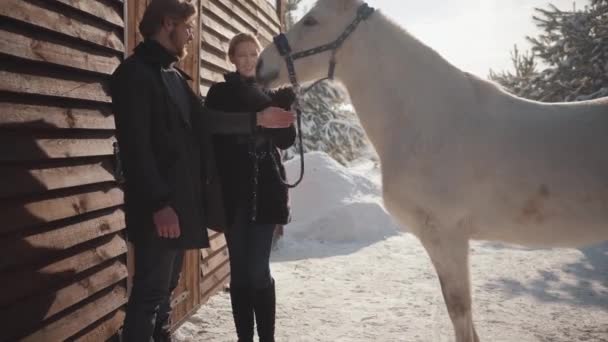 Una pareja feliz pasa tiempo al aire libre en la granja. El chico y la chica se comunican de pie junto a un hermoso caballo blanco en el rancho en el invierno . — Vídeo de stock