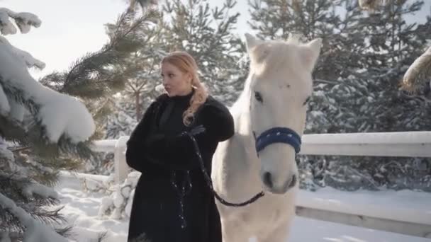 Portret leuk blond meisje met volbloed wit paard in de buurt van het hek close-up. Jonge vrouw speelt met haar witte paard outdoors. Concept van het fokken van het paard — Stockvideo